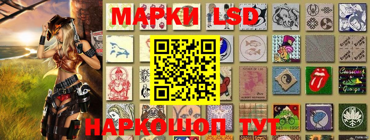 Марки NBOMe 1500мкг  Марки NBOMe 1500мкг  Сегежа  Вход с VPN 