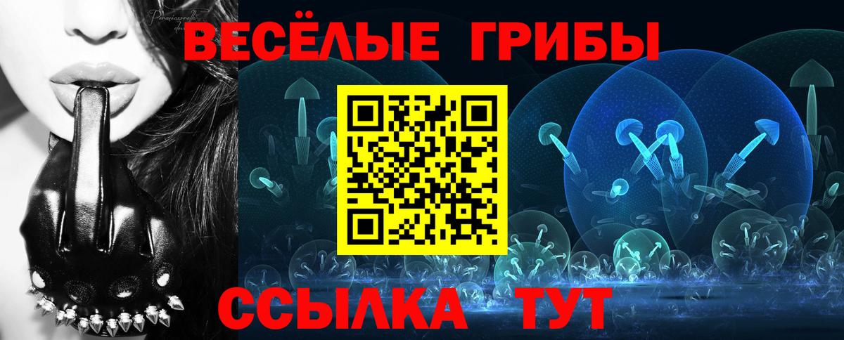 Псилоцибиновые грибы мицелий Сегежа