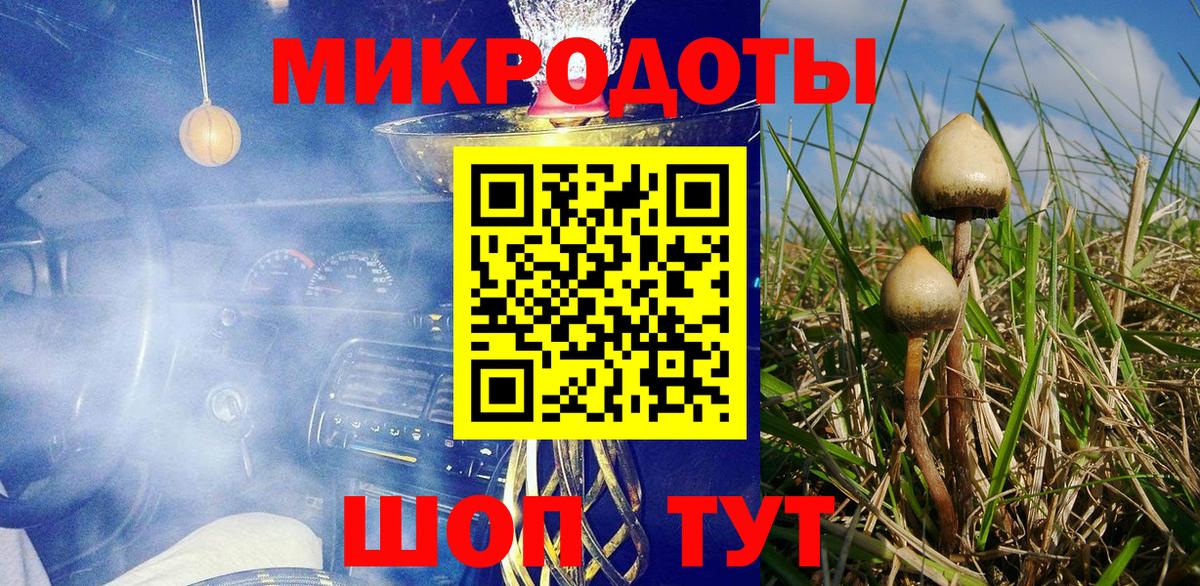 Галлюциногенные грибы прущие грибы  Вход с VPN  Псилоцибиновые грибы мицелий  Сегежа 